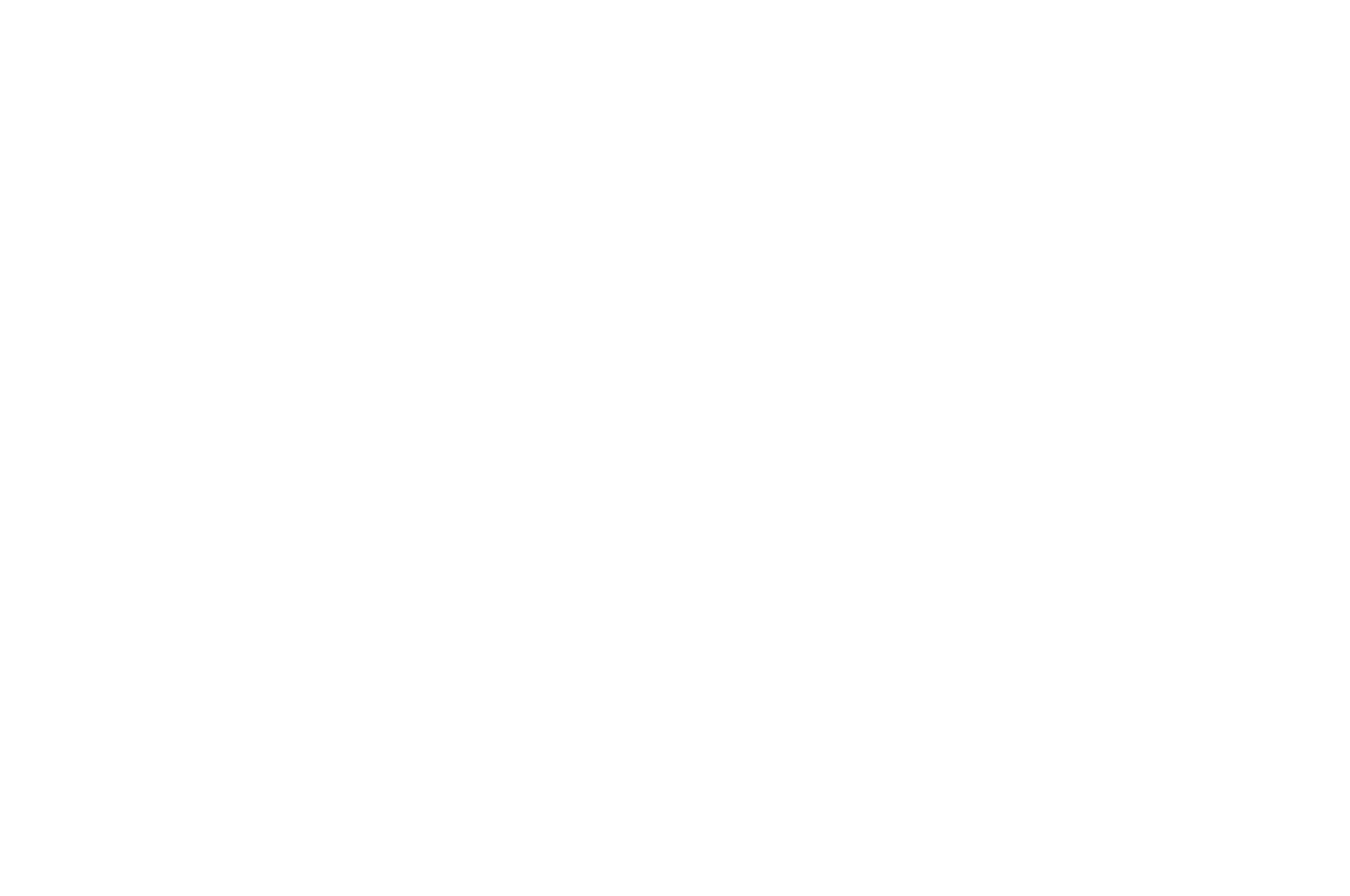 First-Time Filmmaker Sessions — Selected