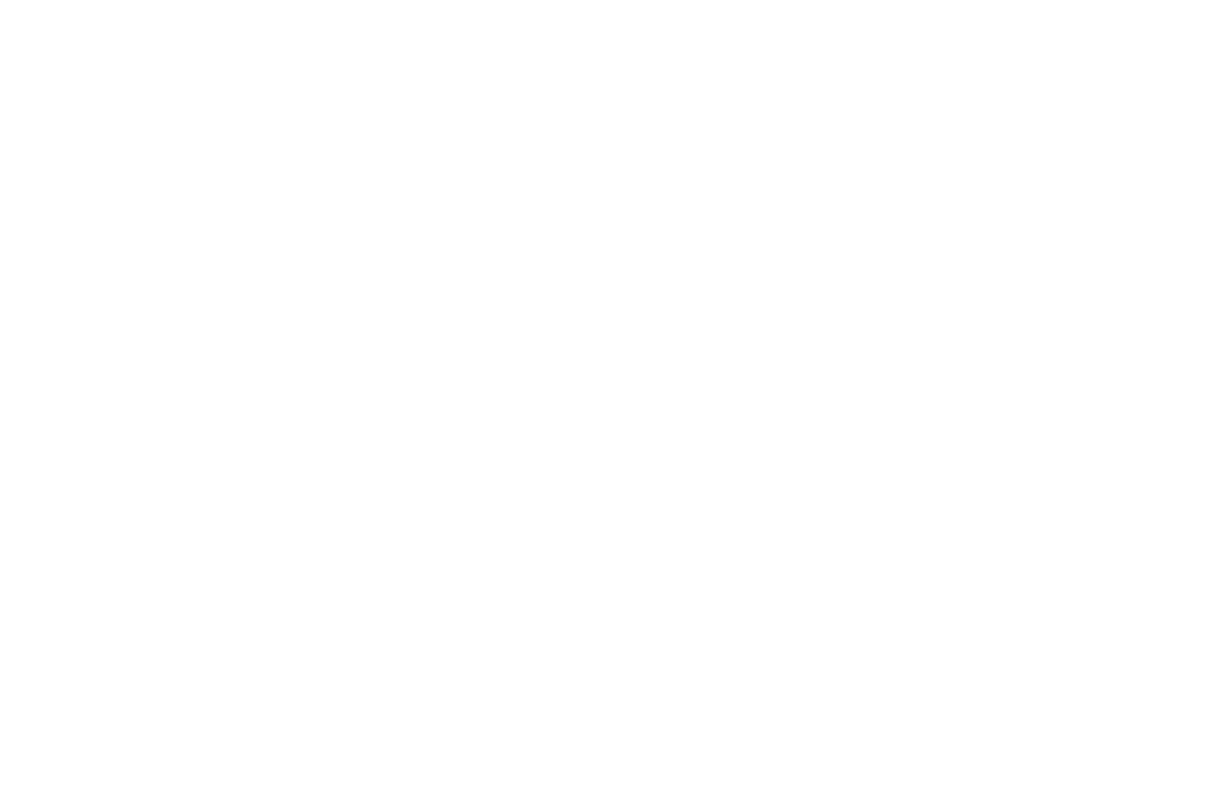 Big Apple Film Festival and Screenplay Competition — Semi-Finalist