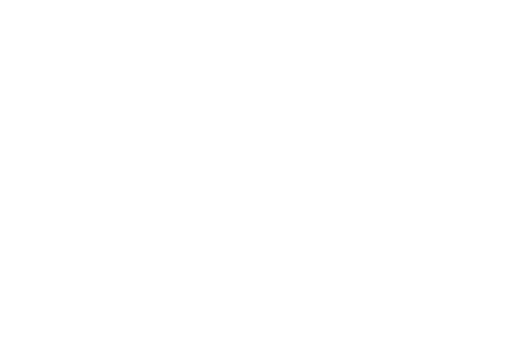 Oaxaca FilmFest — Finalist